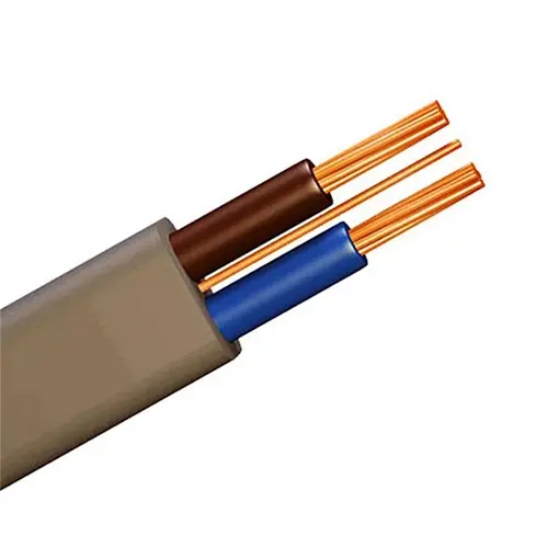 FLAT TWIN AND EARTH CABLE